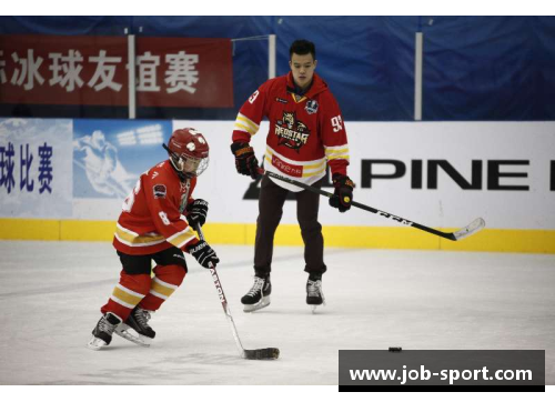 银河冰球：球员们的荣耀与挑战